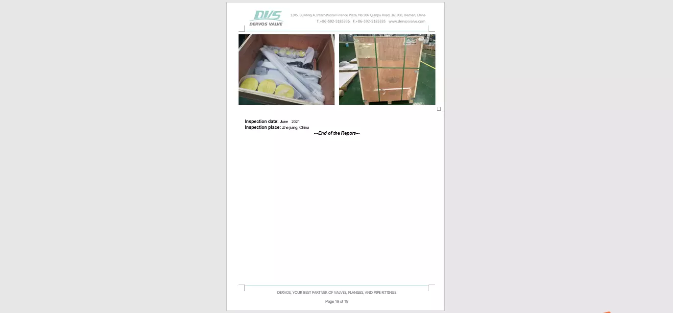 Inspection Report Seven